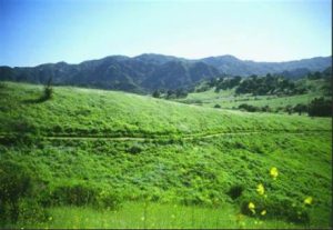 Las Virgenes