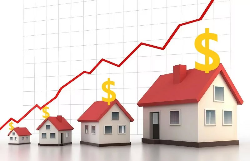 Real-Estate-Investor